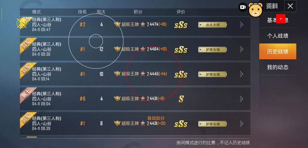 和平精英DDYS辅助