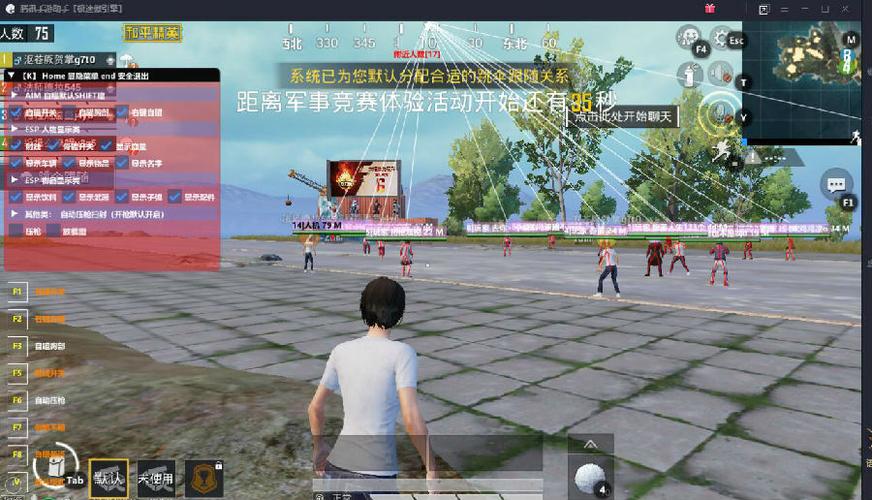和平精英辅助【火焰鸟直装V6.0终极修复版】射线透视 准星聚点 空投透视 人物变大 显示手持 透视雷达